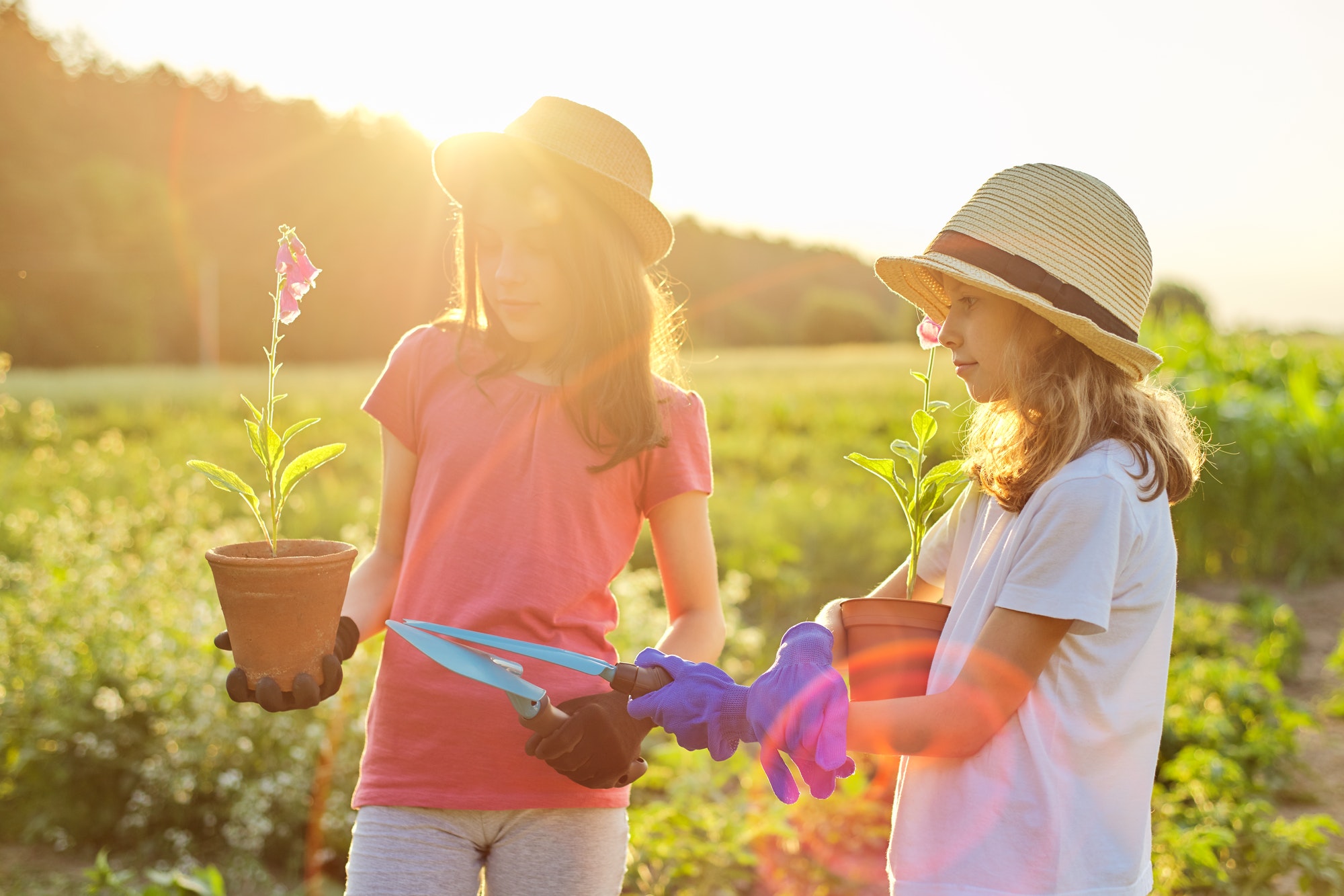 Portrait of two little gardeners in gloves with flowering plants in pots and garden shovels