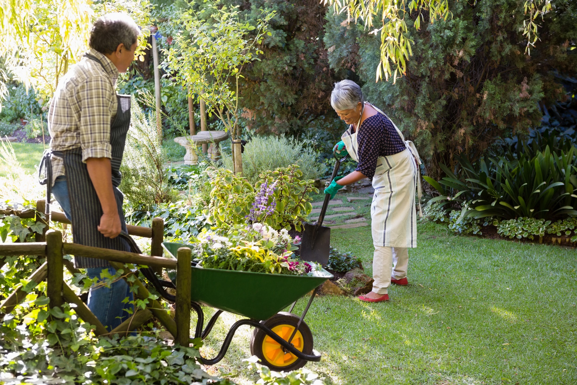 Senior couple gardening in the garden