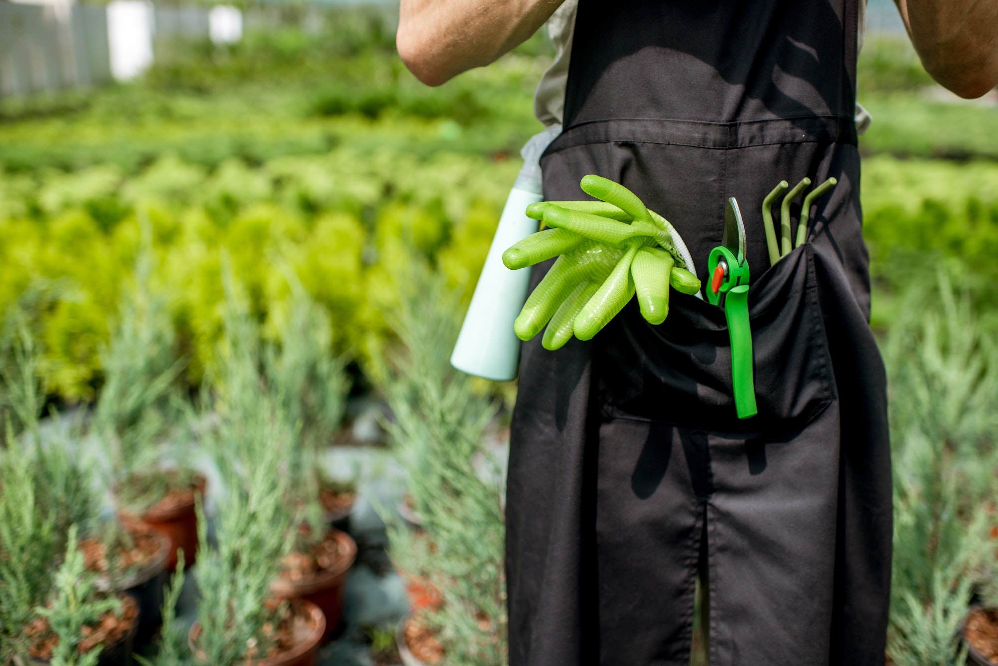 Tools for gardening in the pocket of the gardener